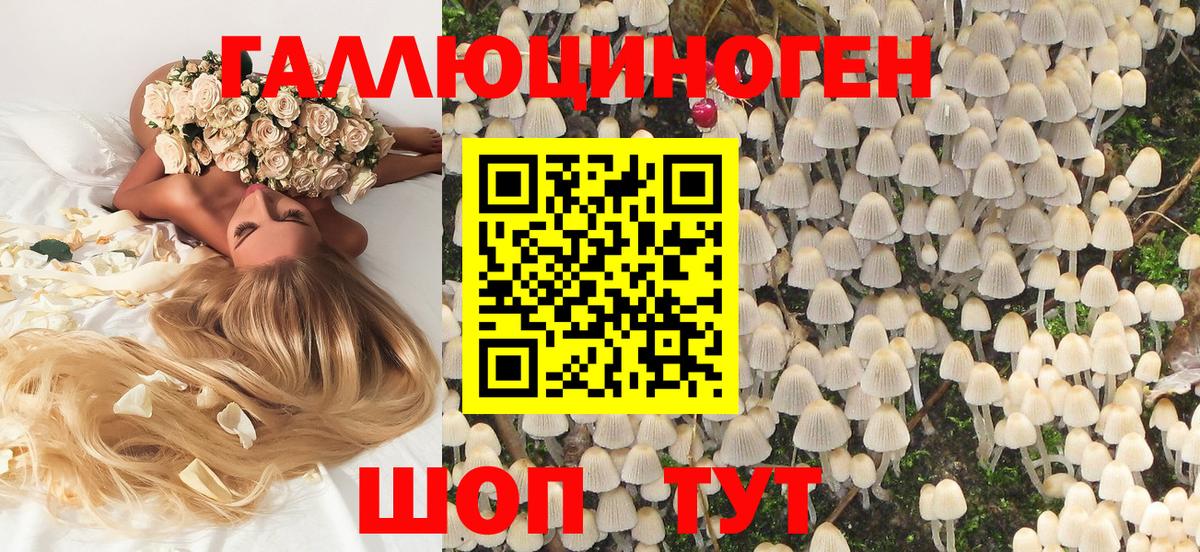 Галлюциногенные грибы Psilocybe  купить наркоту  Канск  Вход с VPN 