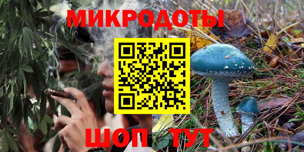 Галлюциногенные грибы Psilocybe Канск